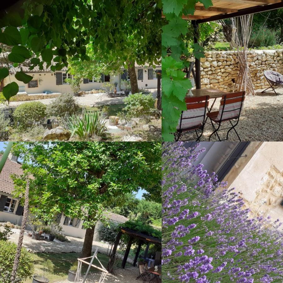Douvilla Douville Bagian luar foto